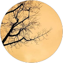 Eray Sari profile picture